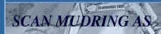 samarbeids partner